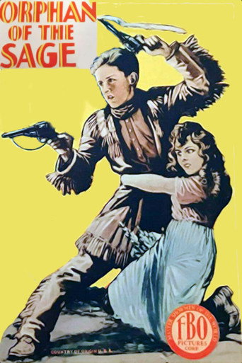 Movie poster for Orphan of the Sage (1928)