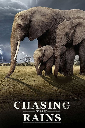 Series poster for Chasing the Rains (2023)
