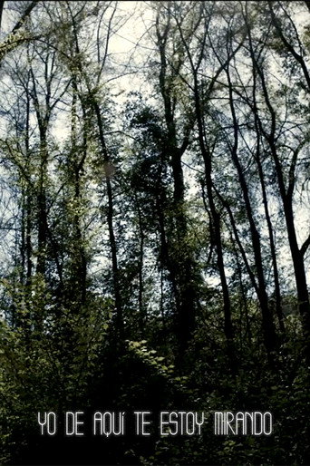 Movie poster for I'm Always Looking from Here (2011)