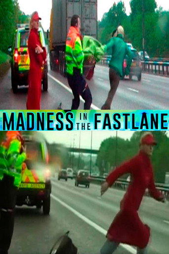Movie poster for Madness in the Fast Lane (2010)
