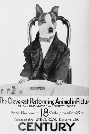 Movie poster for Society Dogs (1921)