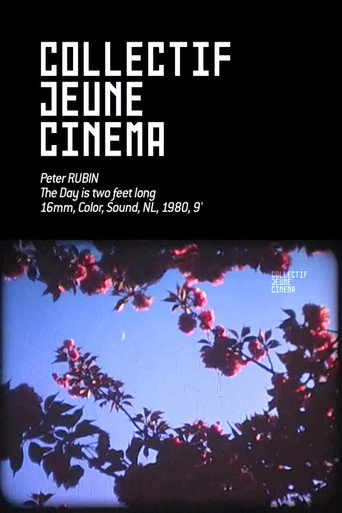 Movie poster for The Day is two feet long (1980)
