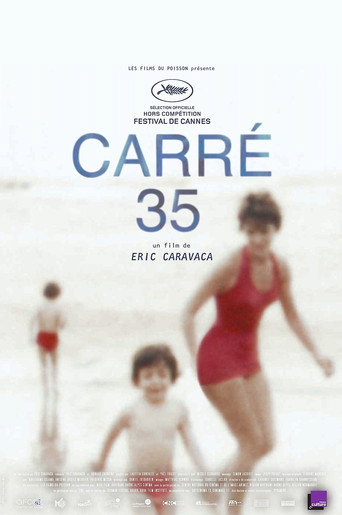 Movie poster for Plot 35 (2017)