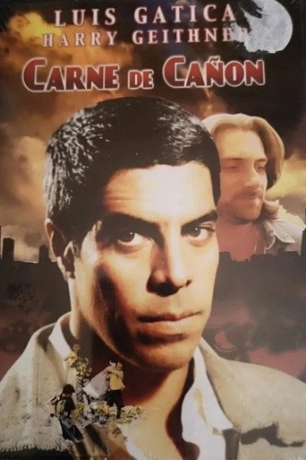 Carne de Cañón poster