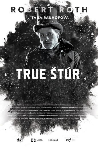 True Štúr poster