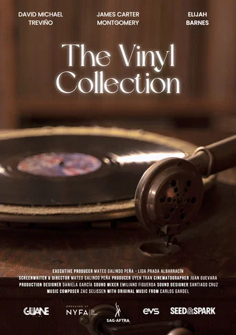 Movie poster for The Vinyl Collection