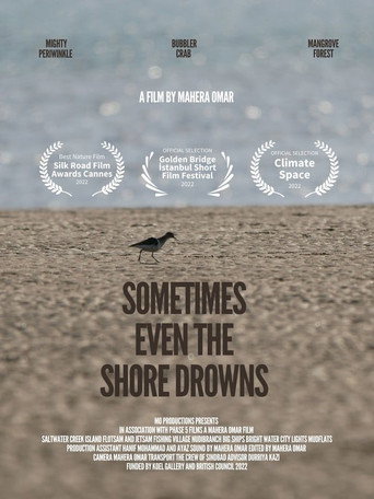 Movie poster for Sometimes Even the Shore Drowns (2022)