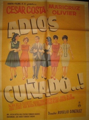 Adios cuñado poster
