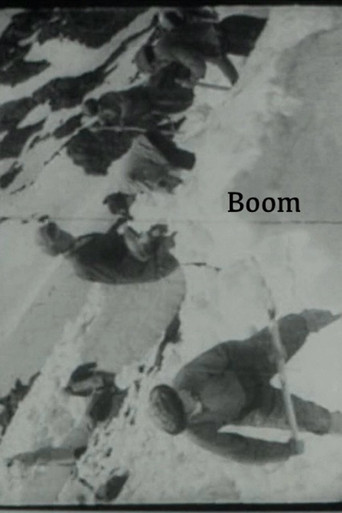 Movie poster for Boom (1969)
