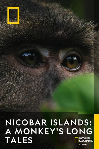 Movie poster for Nicobar Islands: A Monkey's Long Tale (2024)