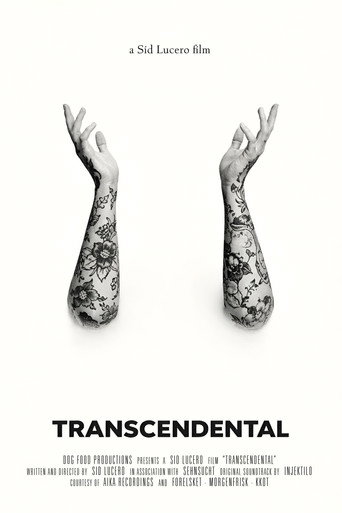 Movie poster for Transcendental