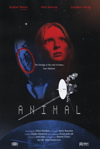 Movie poster for Animal (2024)