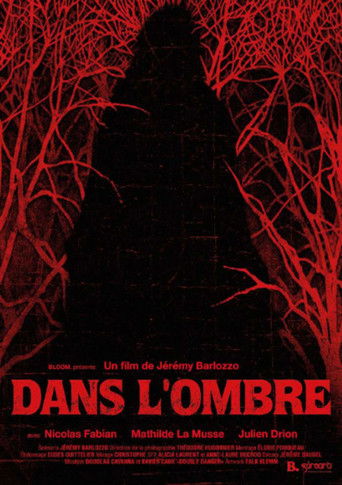 Dans l’ombre poster