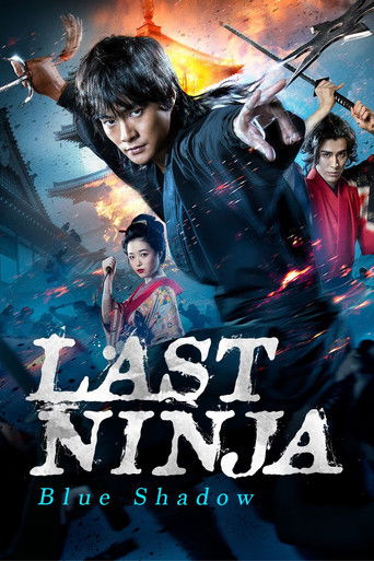 Last Ninja - Blue Shadow poster