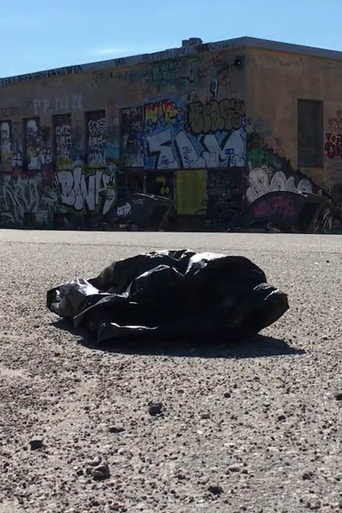 The Most Beautiful Thing I Ever Filmed poster