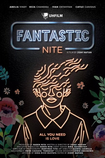 Movie poster for Fantastic Nite (2016)