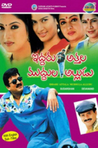 Movie poster for Iddaru Attala Muddula Alludu (2006)