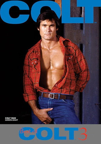 Movie poster for The Best of Colt Films: Part 3 (1986)