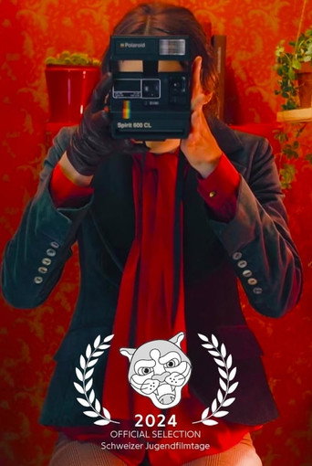 Movie poster for Diary of a Photobooth