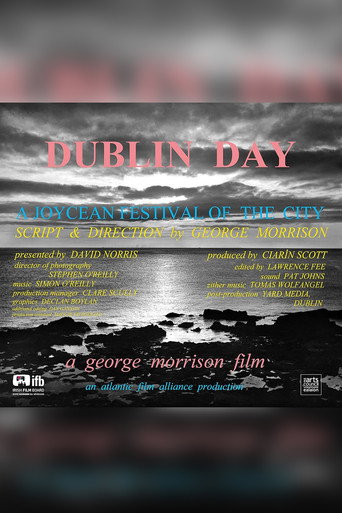 Movie poster for Dublin Day (2007)