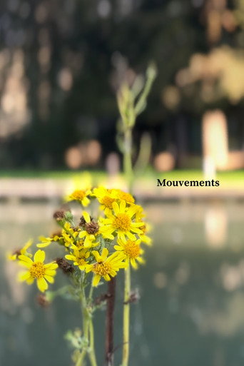 Movie poster for Mouvements (2024)