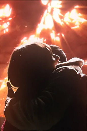 Movie poster for The Metorite and Impotence (2013)