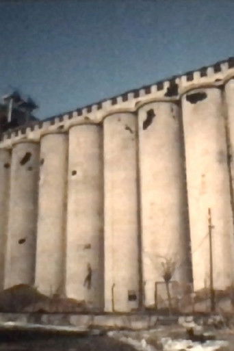 Movie poster for Silo Danube, Vukovar (1993)