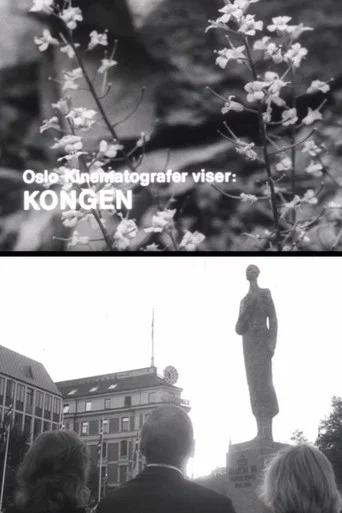 Movie poster for Oslofilm: Kongen (1972)