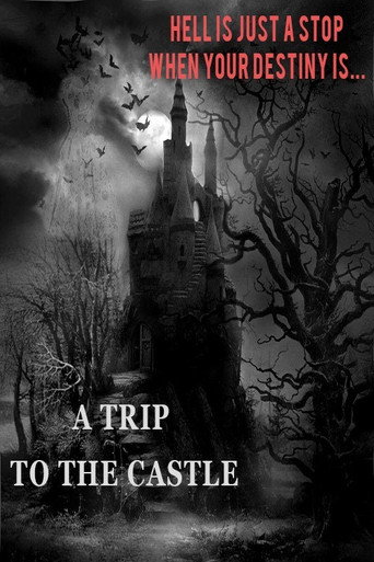Movie poster for A Trip to the Castle