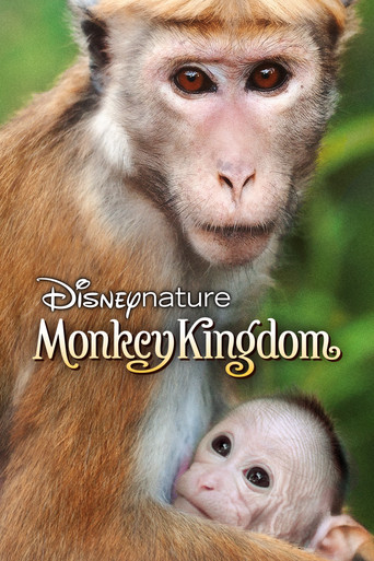 Movie poster for Monkey Kingdom (2015)