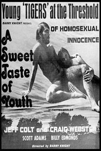 Movie poster for A Sweet Taste of Youth (1972)
