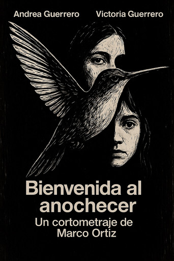 Movie poster for Bienvenida al Anochecer (2018)