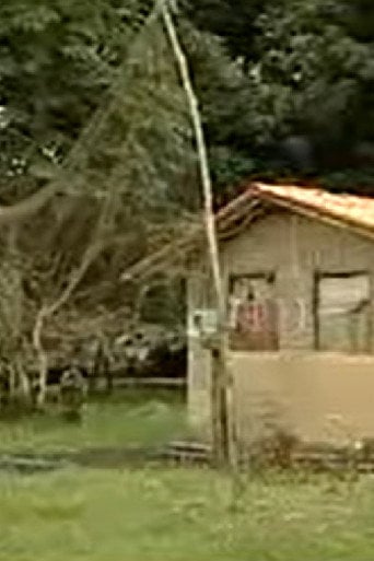 Movie poster for Cidades Amazônicas (2006)