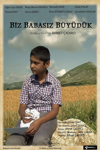 Movie poster for Biz Babasız Büyüdük (2013)