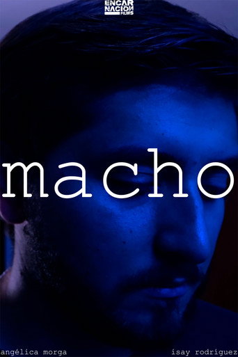 Movie poster for The Man