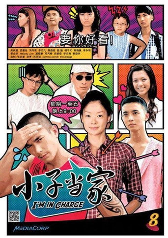 Series poster for I'm in Charge (2013)