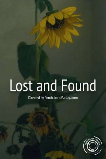 Movie poster for Lost and Found (2025)