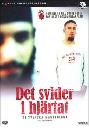 Movie poster for Aching Heart (2007)