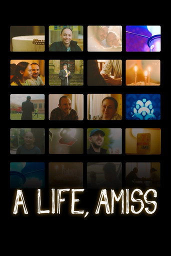 Movie poster for A Life, Amiss