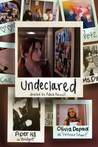 Movie poster for Undeclared (2023)