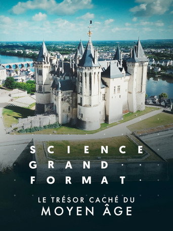 Movie poster for Le trésor caché du Moyen Age (2025)