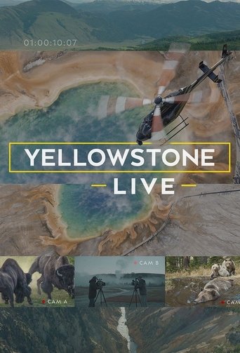 Yellowstone Live poster