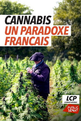 Movie poster for Cannabis, le paradoxe français (2025)