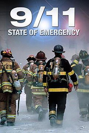 Movie poster for 9/11 State of Emergency (2010)