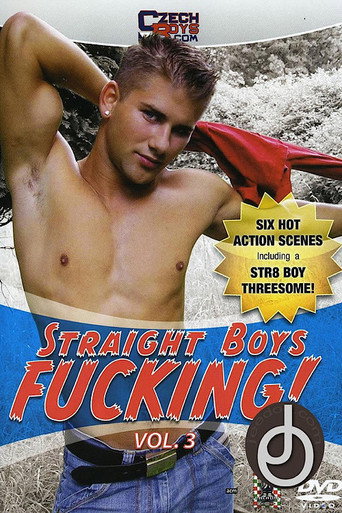 Movie poster for Straight Boys Fucking! 3 (2008)