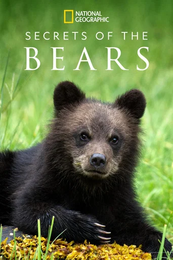 Series poster for Secrets of the Bears