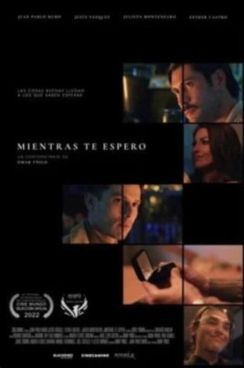Movie poster for While I Was Waiting (2023)