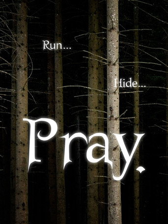 Movie poster for Pray. (2007)