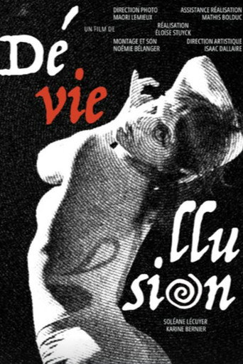 Movie poster for Déviellusion
