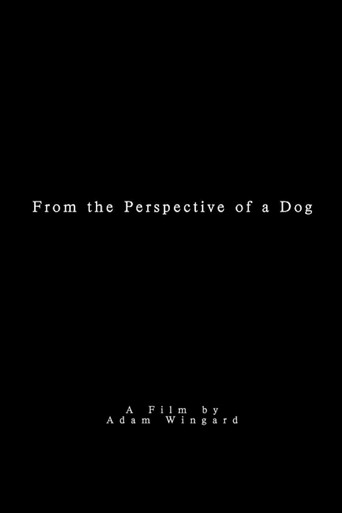 From the Perspective of a Dog poster
